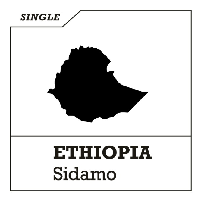[싱글 오리진] 에디오피아 시다모